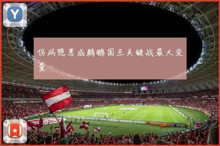 伤病隐患成鹈鹕国王关键战最大变量