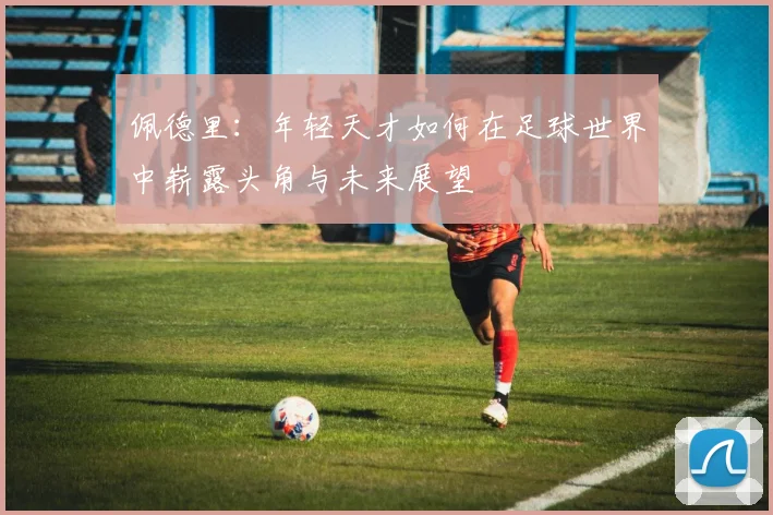 佩德里：年轻天才如何在足球世界中崭露头角与未来展望