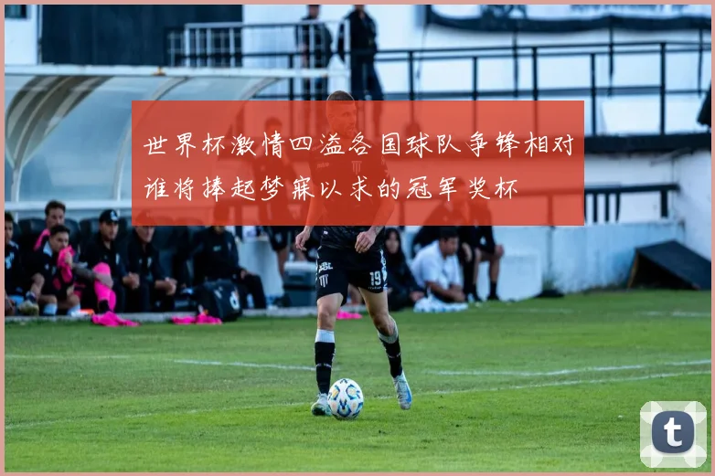世界杯激情四溢各国球队争锋相对谁将捧起梦寐以求的冠军奖杯